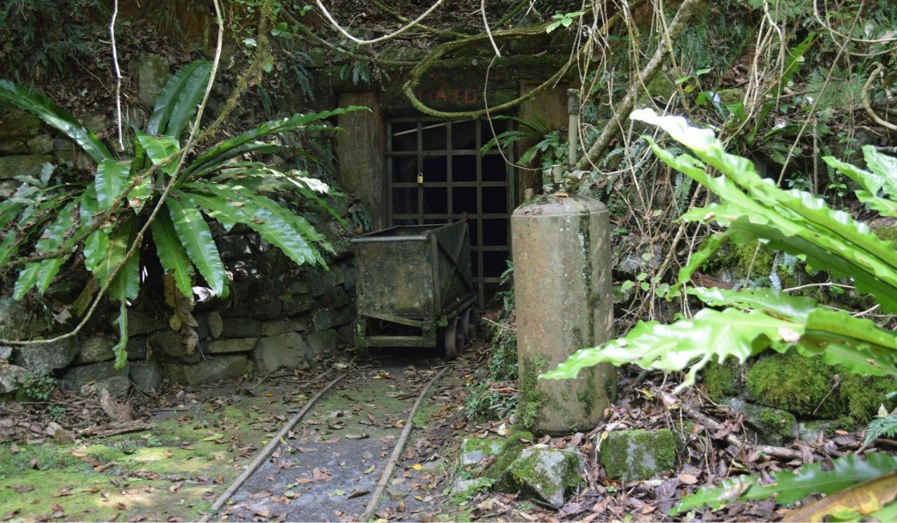 Copeland House Bed & Breakfast エクステリア 写真