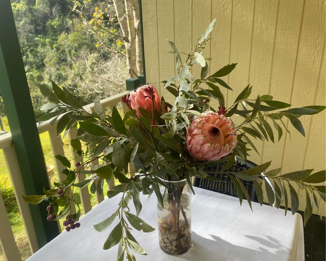 Copeland House Bed & Breakfast エクステリア 写真